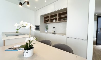 New Build - Villa -
Torre de la Horadada