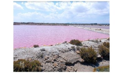 Reventa - Ático -
San Pedro del Pinatar - Lo Pagan