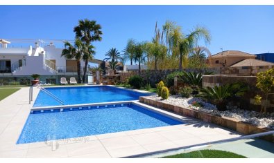 Reventa - Ground floor -
Pilar de la Horadada - Pilar de la Horadada ciudad