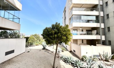 Resale - Apartment -
Orihuela Costa - Los Dolses