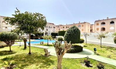 Bestaande bouw - Appartement -
Torrevieja