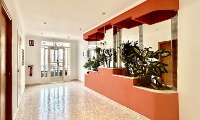 Bestaande bouw - Appartement -
Torrevieja