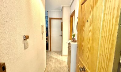 Bestaande bouw - Appartement -
Torrevieja