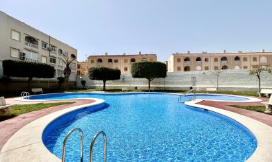 Bestaande bouw - Appartement -
Torrevieja