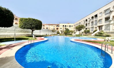 Bestaande bouw - Appartement -
Torrevieja