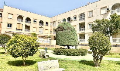 Bestaande bouw - Appartement -
Torrevieja