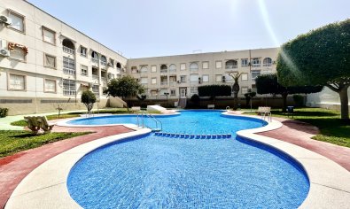 Bestaande bouw - Appartement -
Torrevieja