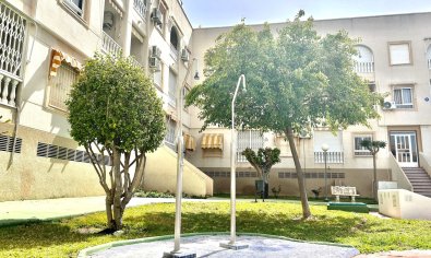 Bestaande bouw - Appartement -
Torrevieja