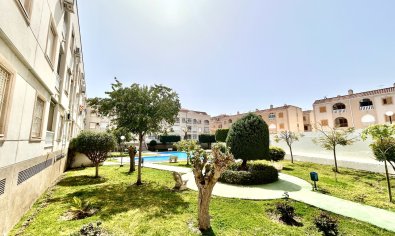 Bestaande bouw - Appartement -
Torrevieja