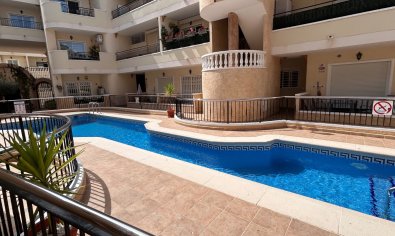 Bestaande bouw - Appartement -
Jacarilla