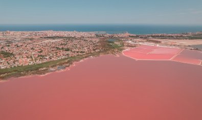 Obra nueva - Bungalow - Solarium -
Torrevieja