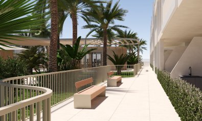 Nieuwbouw Woningen - Appartement -
San Cayetano