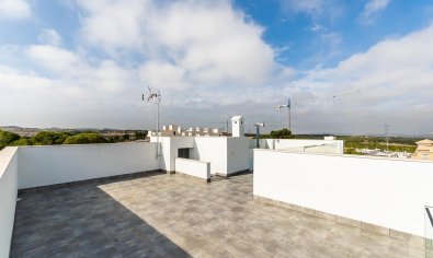Obra nueva - Casa Adosada -
Orihuela