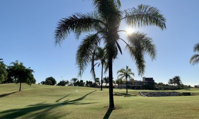 Bungalows de Obra Nueva en Roda Golf