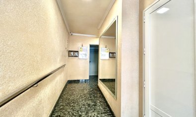 Bestaande bouw - Appartement -
Torrevieja