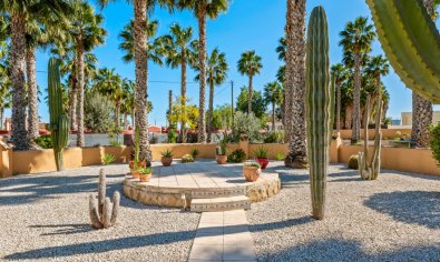 Resale - Finca -
Rafal