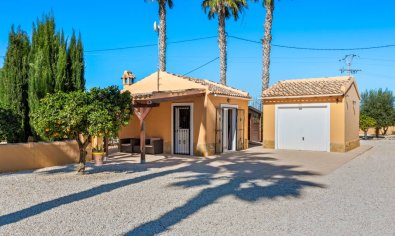 Resale - Finca -
Rafal