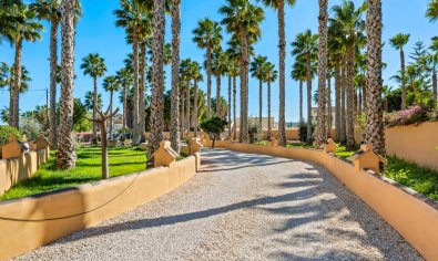 Resale - Finca -
Rafal