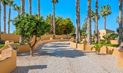 Resale - Finca -
Rafal