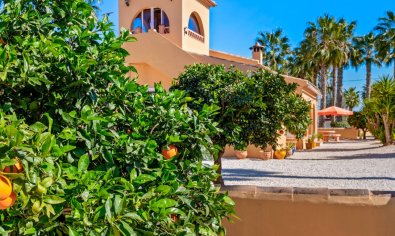 Resale - Finca -
Rafal