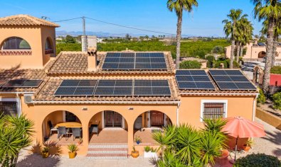 Resale - Finca -
Rafal