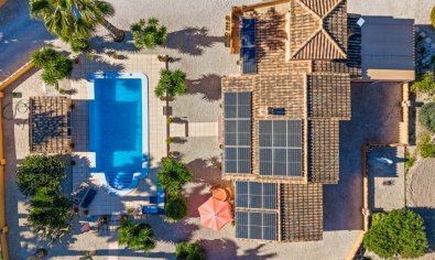 Resale - Finca -
Rafal