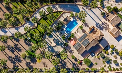 Resale - Finca -
Rafal