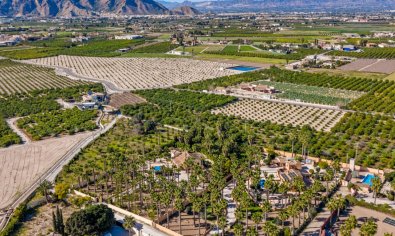 Resale - Finca -
Rafal