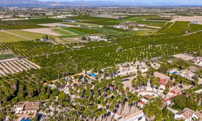 Resale - Finca -
Rafal