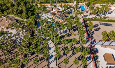 Resale - Finca -
Rafal