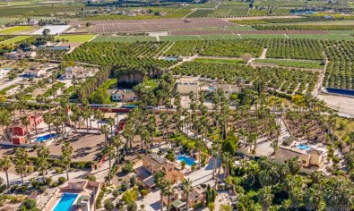 Resale - Finca -
Rafal