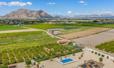 Bestaande bouw - Finca -
Rafal