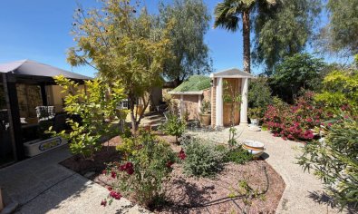 Bestaande bouw - Finca -
Catral