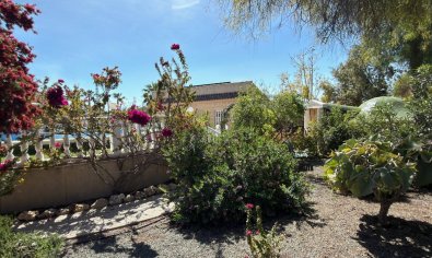Bestaande bouw - Finca -
Catral