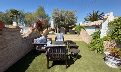 Bestaande bouw - Finca -
Catral