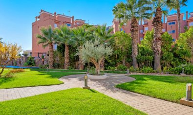 Bestaande bouw - Appartement -
Orihuela Costa - Cabo Roig