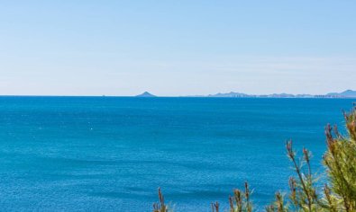Bestaande bouw - Appartement -
Orihuela Costa - Cabo Roig
