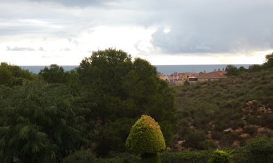 Bestaande bouw - Appartement -
Gran Alacant