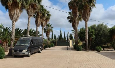 Resale - Finca -
Orihuela