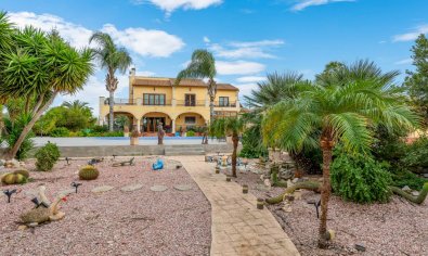 Resale - Finca -
Orihuela