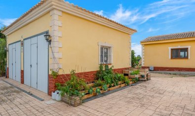 Resale - Finca -
Orihuela