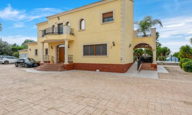 Resale - Finca -
Orihuela