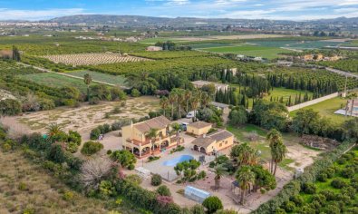 Resale - Finca -
Orihuela