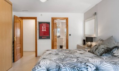 Resale - Finca -
Catral