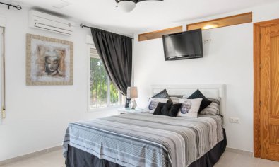 Resale - Finca -
Catral