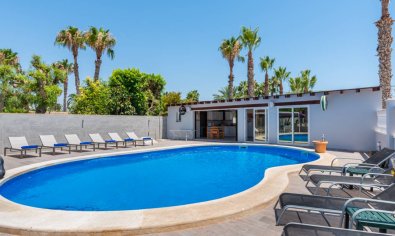 Resale - Finca -
Catral