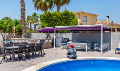Resale - Finca -
Catral