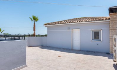 Resale - Finca -
Catral
