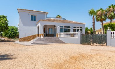 Resale - Finca -
Catral