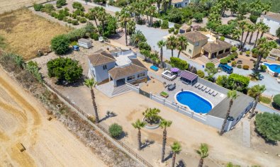 Resale - Finca -
Catral